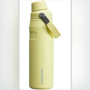 Stanley The Aerolight Iceflow Bottle with Fast Flow Lid 24 oz - Pomelo